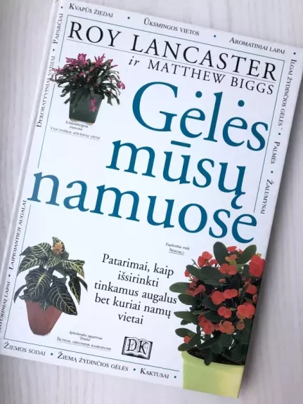 Gėlės mūsų namuose