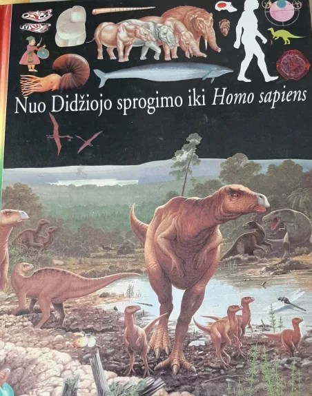 Nuo didžiojo sprogimo iki Homo sapiens