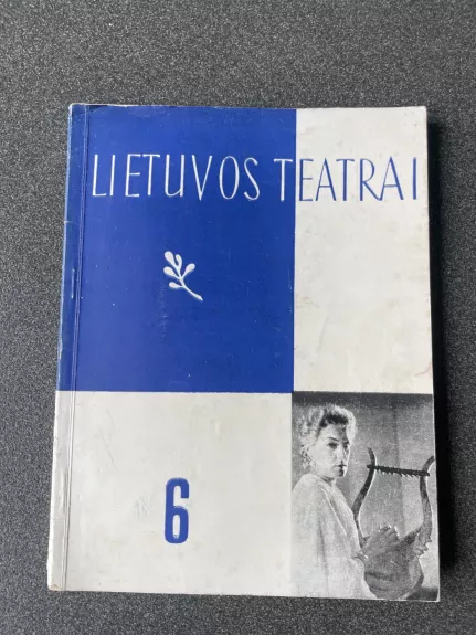 Lietuvos teatrai 6
