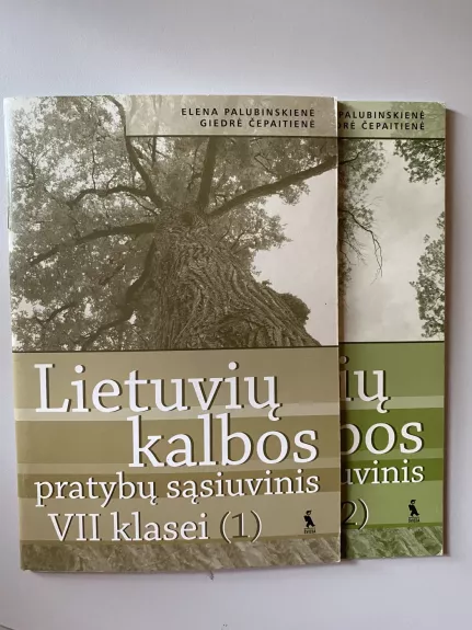 Lietuvių kalbos pratybos 7 klasei