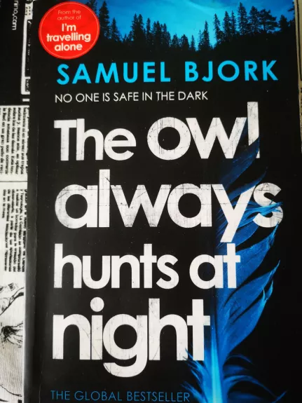 The owl always hunts at night