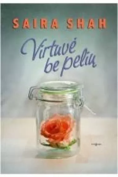 Virtuvė be pelių