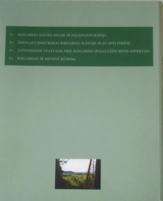 Ar tikrai Raigardas prasmego? - Valentinas Baltrūnas, knyga