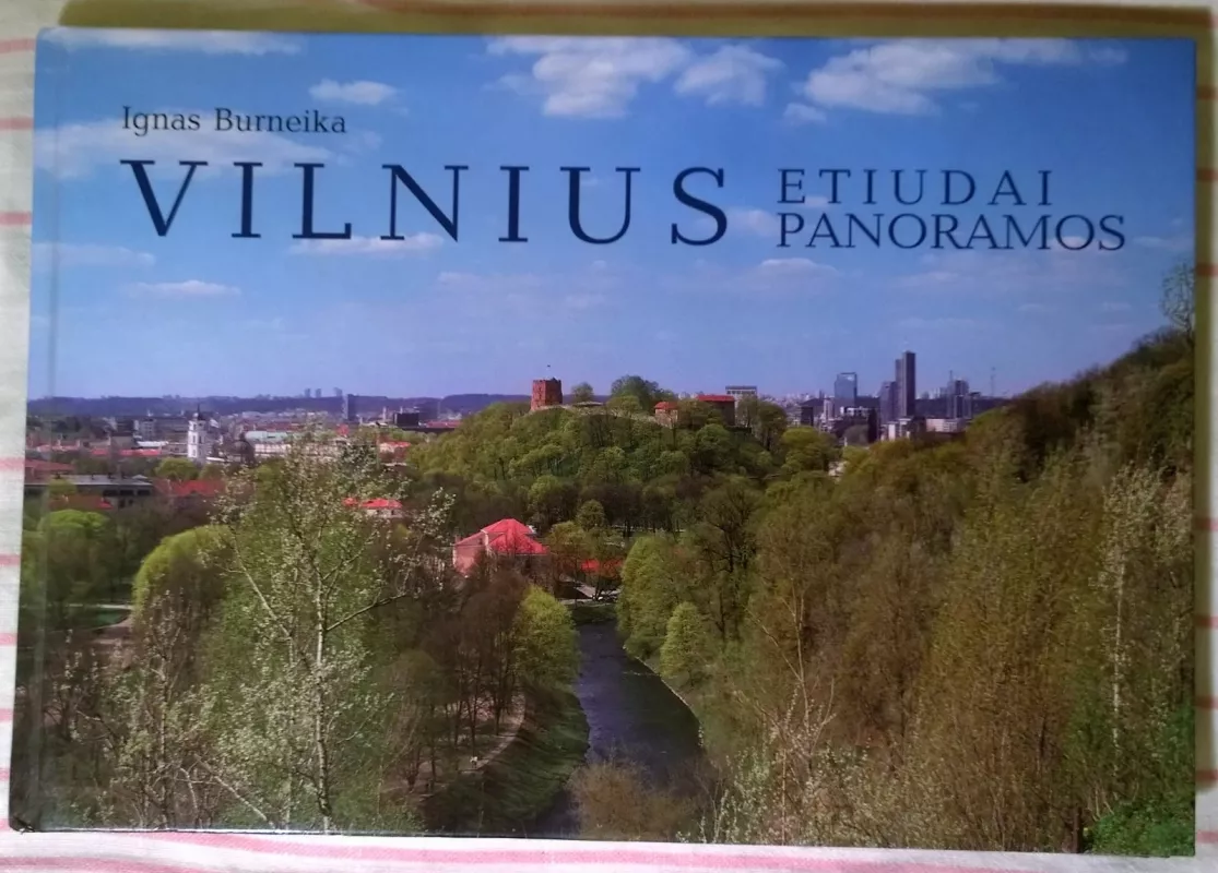 Vilnius etiudai panoramos - Ignas Burneika, knyga