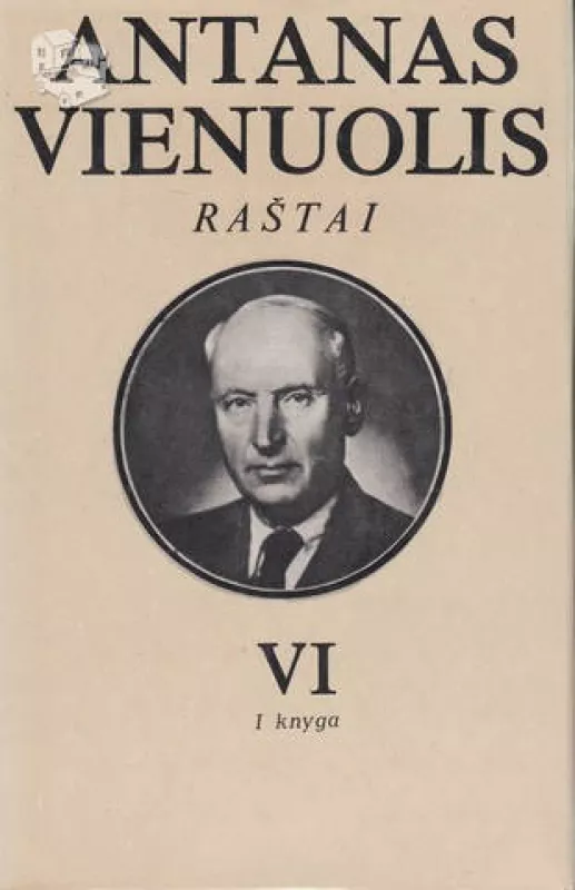 Raštai VI - Antanas Vienuolis, knyga