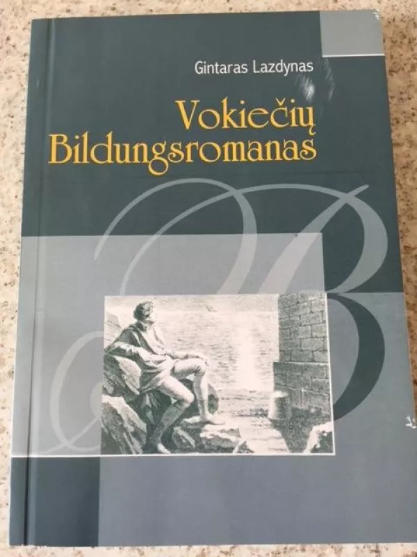 Vokiečių Bildungsromanas - Gintaras Lazdynas, knyga
