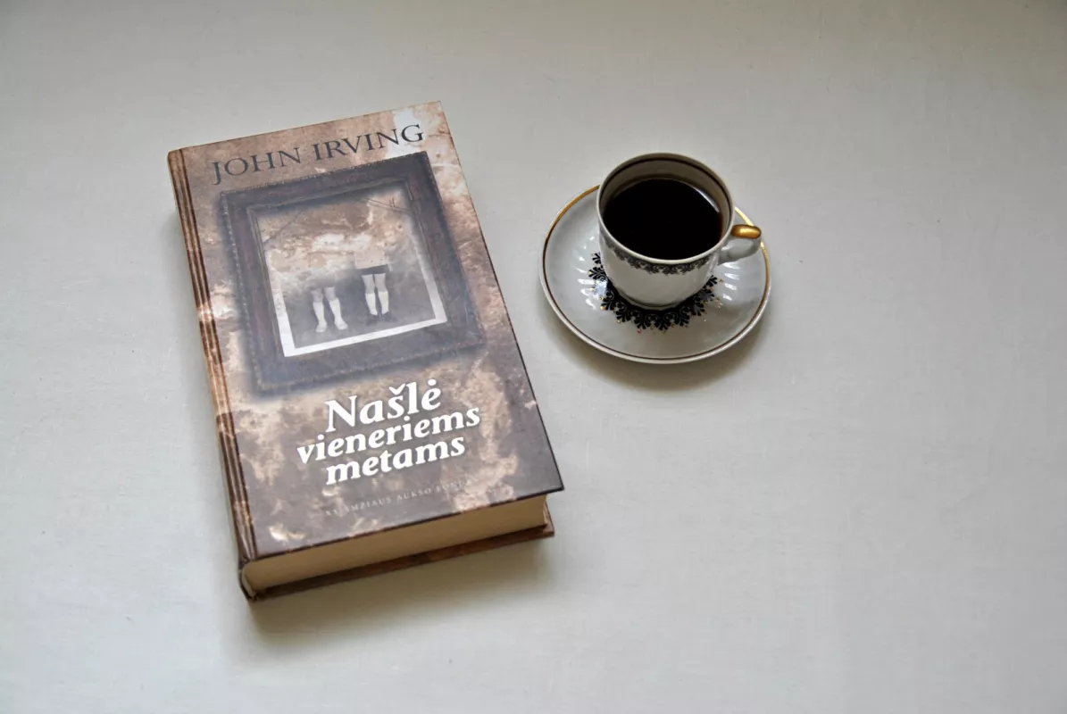 Našlė vieneriems metams - John Irving, knyga