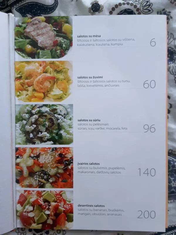 100 salotų. Su mėsa, žuvimi, sūriu, vaisiais ir uogomis - Brigita Bulsytė, knyga