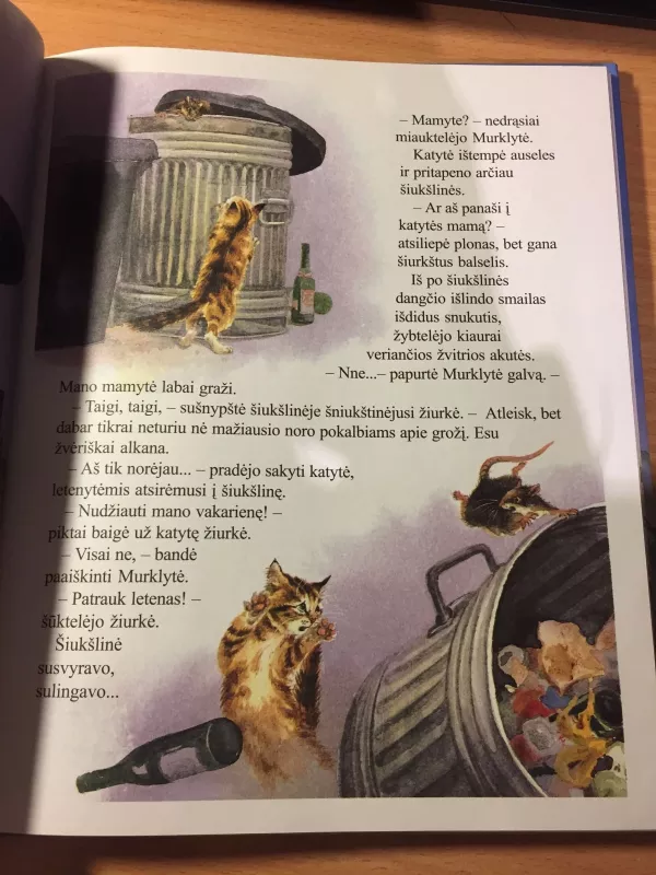 Pasiklydusi katytė - Autorių Kolektyvas, knyga