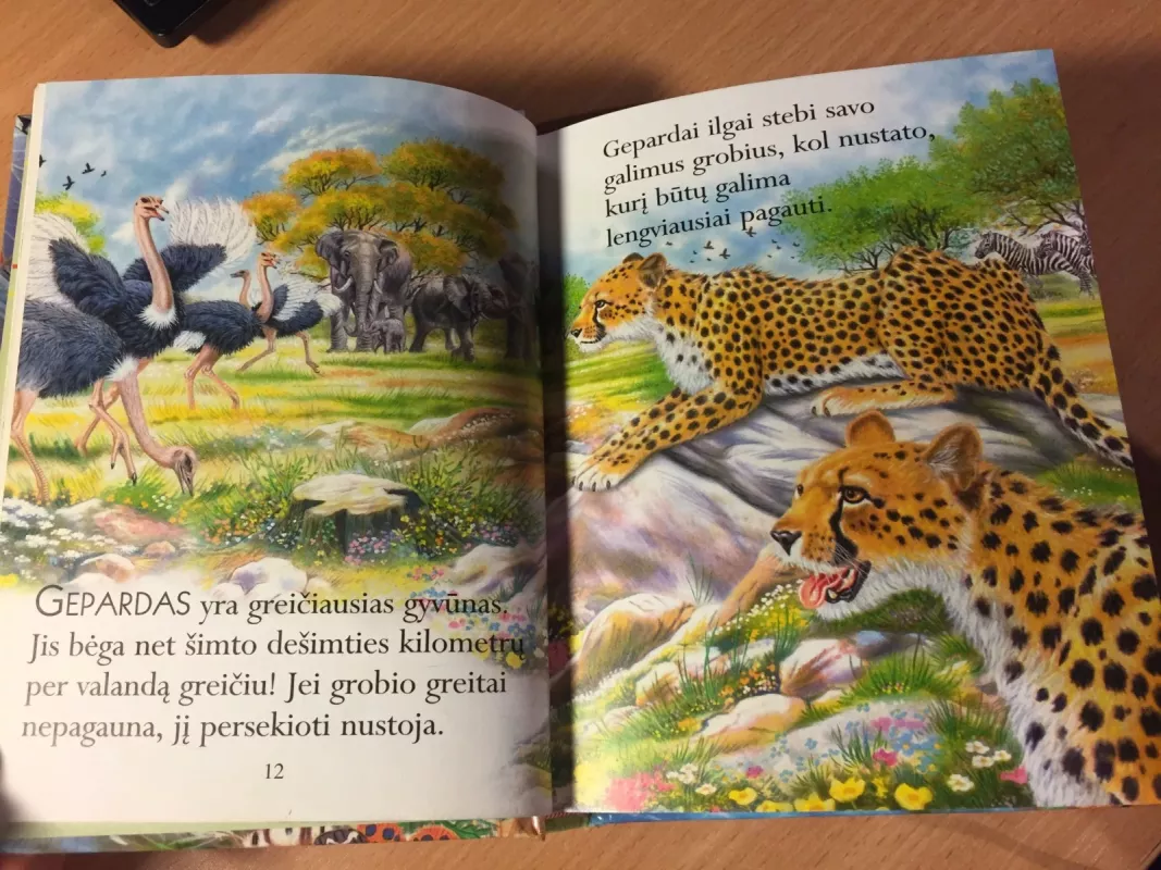 Apie Gyvūnus - Mažųjų Skaitiniai, knyga