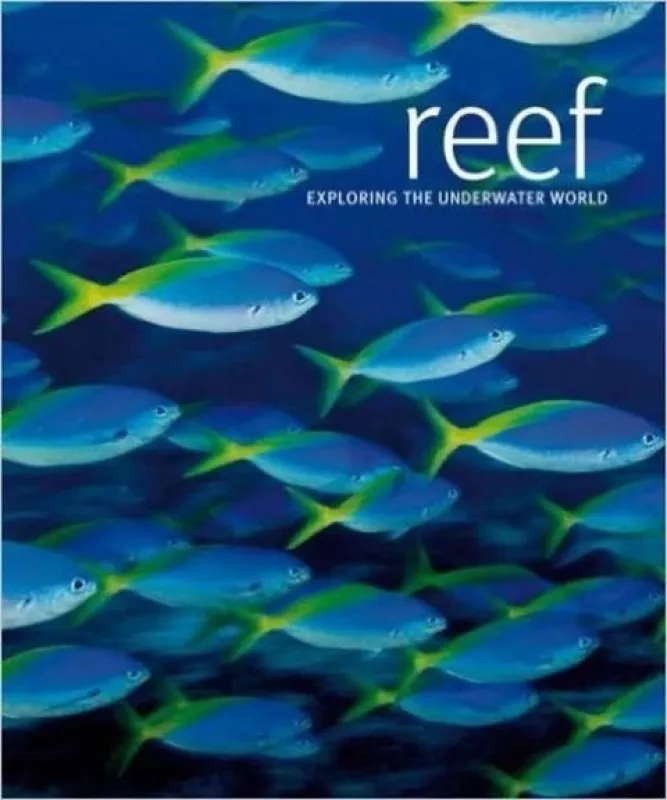 Reef: Exploring the Underwater World - Autorių Kolektyvas, knyga