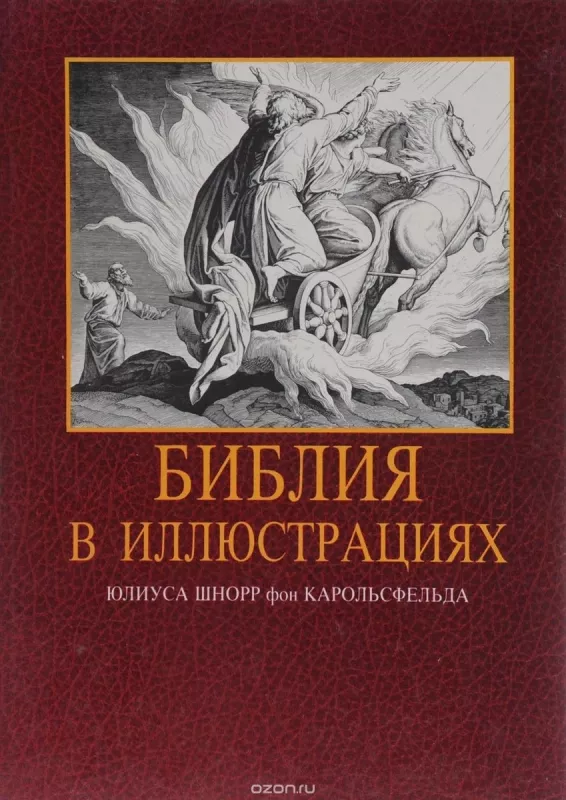 Библия в иллюстрациях - Юлиус Шнорр фон Карольсфельд, knyga