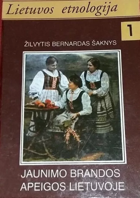 Jaunimo brandos apeigos Lietuvoje XIX a. pabaigoje - XX a. pirmojoje pusėje - Žilvytis Bernardas Šaknys, knyga