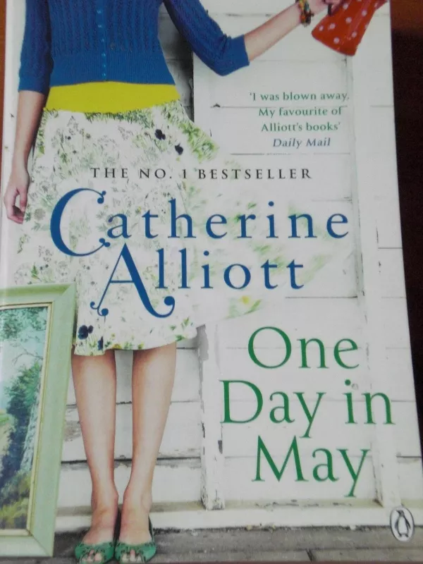 One Day in May - Catherine Alliott, knyga