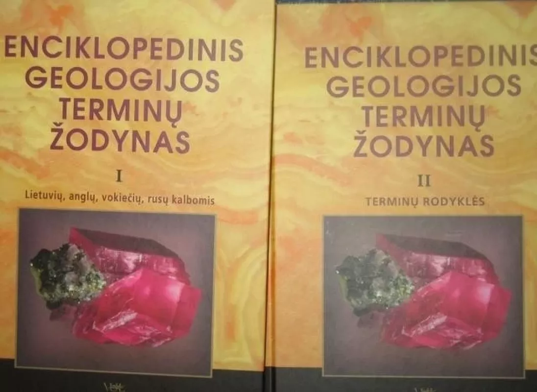 Enciklopedinis geologijos terminų žodynas (I,II t.) - Autorių Kolektyvas, knyga