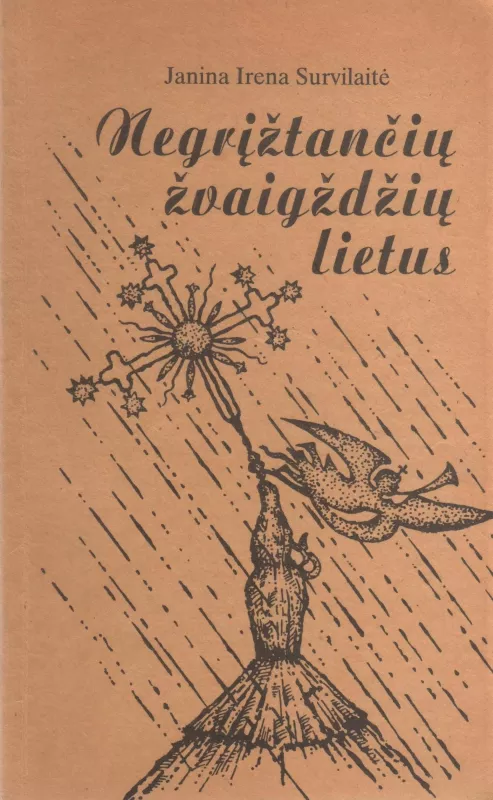 Negrįžtančių žvaigždžių lietus - Autorių Kolektyvas, knyga