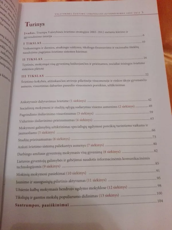 Valstybinės švietimo strategijos įgyvendinimas 2003-2012 - Autorių Kolektyvas, knyga