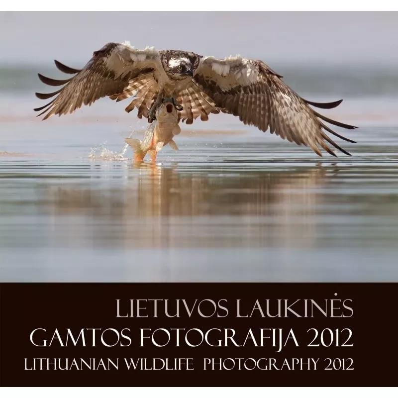 LIETUVOS LAUKINĖS GAMTOS FOTOGRAFIJA 2012 - Autorių Kolektyvas, knyga