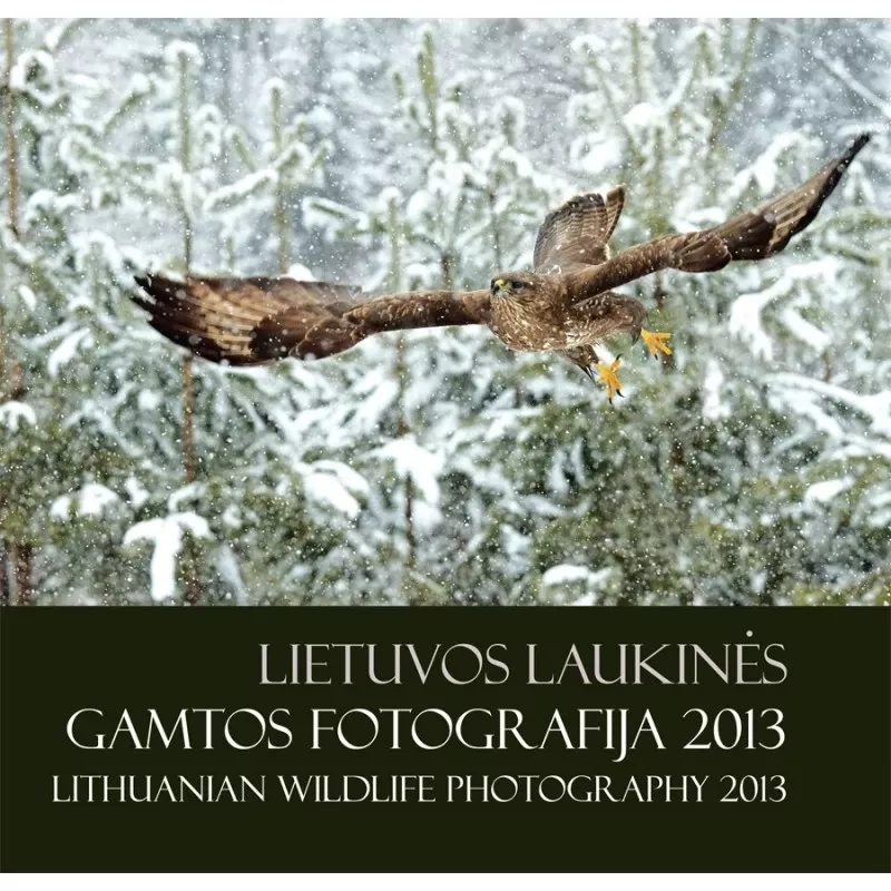 LIETUVOS LAUKINĖS GAMTOS FOTOGRAFIJA 2013 - Autorių Kolektyvas, knyga