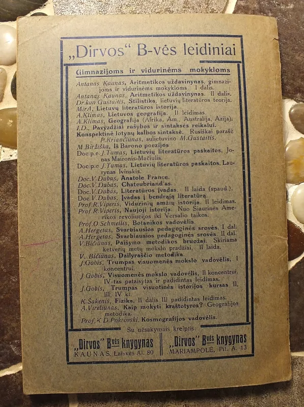 Dailyraštis (1927 m) - V. Bičiūnas, knyga