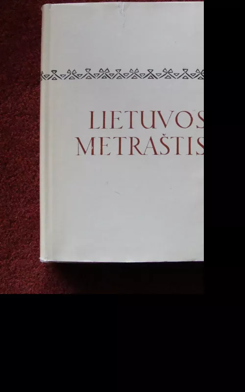 Lietuvos metraštis Bychovco kronika - Autorių Kolektyvas, knyga