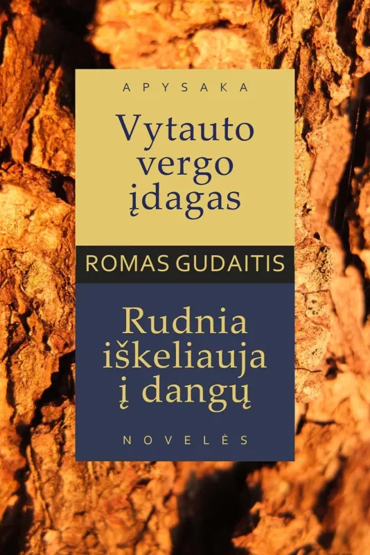 Romas Gudaitis Vytauto - Romas Gudaitis, knyga