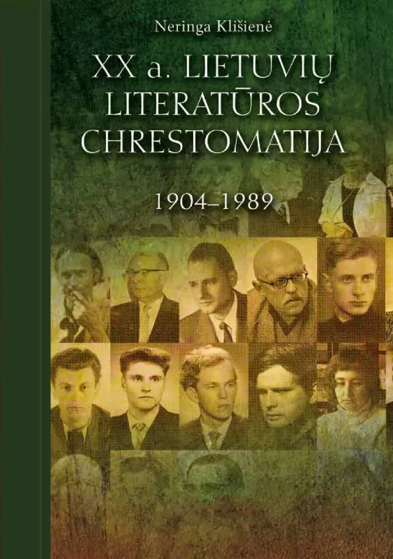 XX a. lietuviu literaturos chrestomatija, 1904-1989 - Neringa Klišienė, knyga