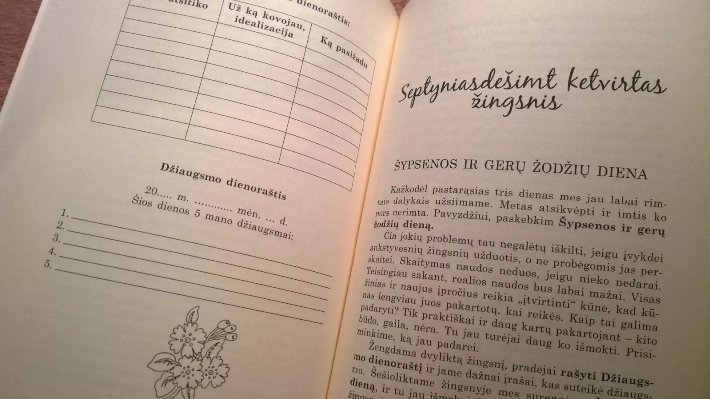 Nuo pelenės iki princesės / 90 žingsnių kelyje į laimingą gyvenimą - Aleksandras Svijašas, knyga