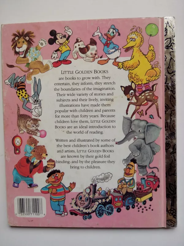 Mickey Mouse and Goofy - Walt Disney, knyga