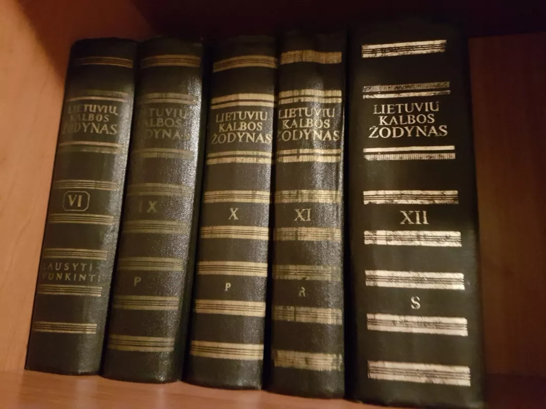 Didysis lietuvių kalbos žodynas - Autorių Kolektyvas, knyga