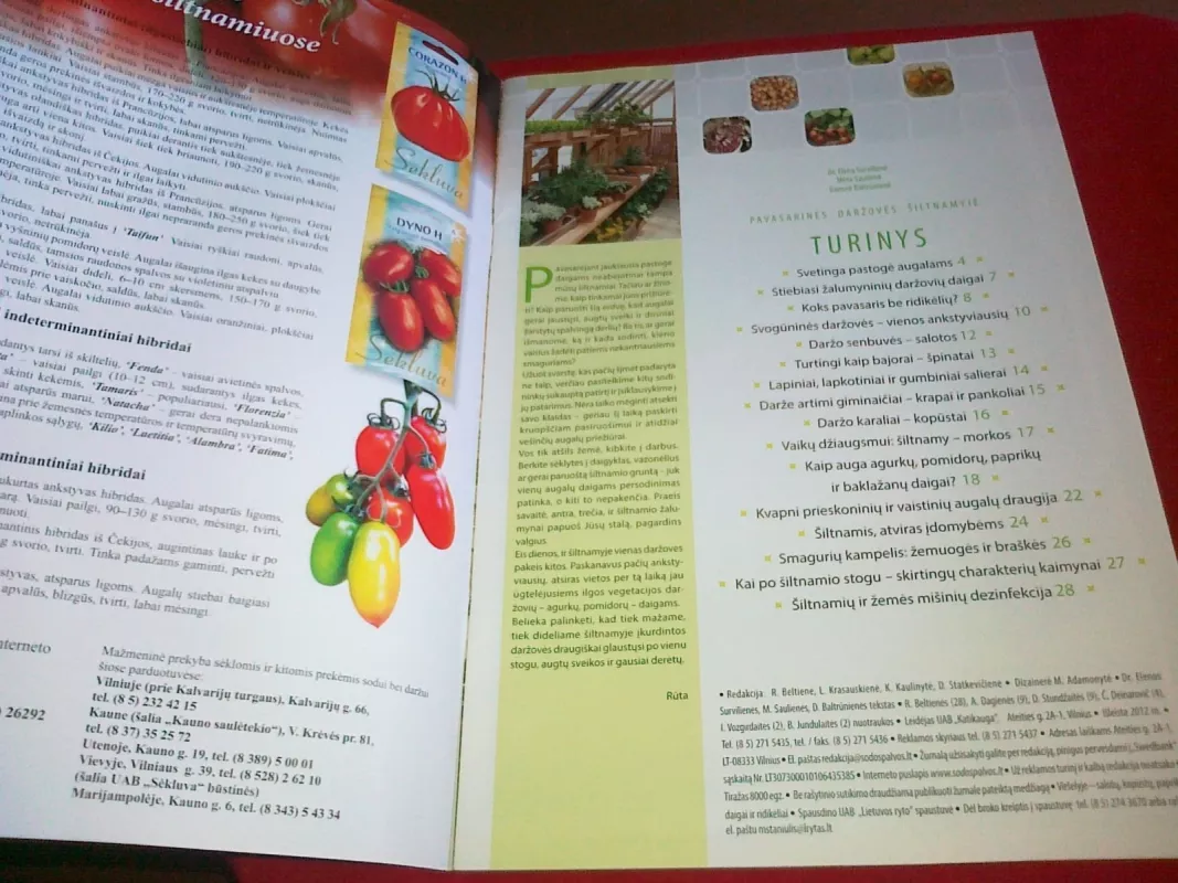 Pavasarinės daržovės šiltnamyje - Autorių Kolektyvas, knyga