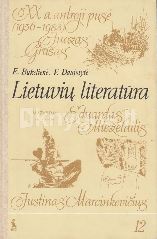 Lietuvių literatūra XX amžiaus antroji pusė 12 klasė - Elena Bukelienė, knyga