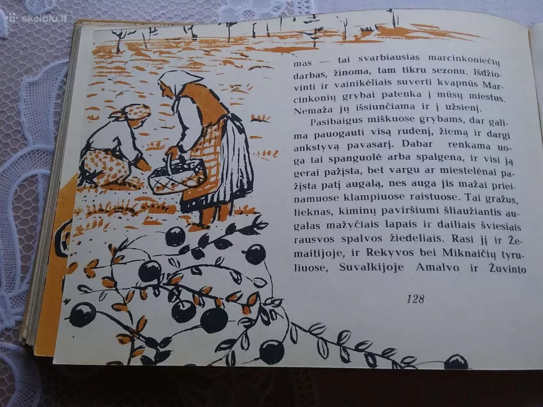Gamtos kalendorius - Tadas Ivanauskas, knyga