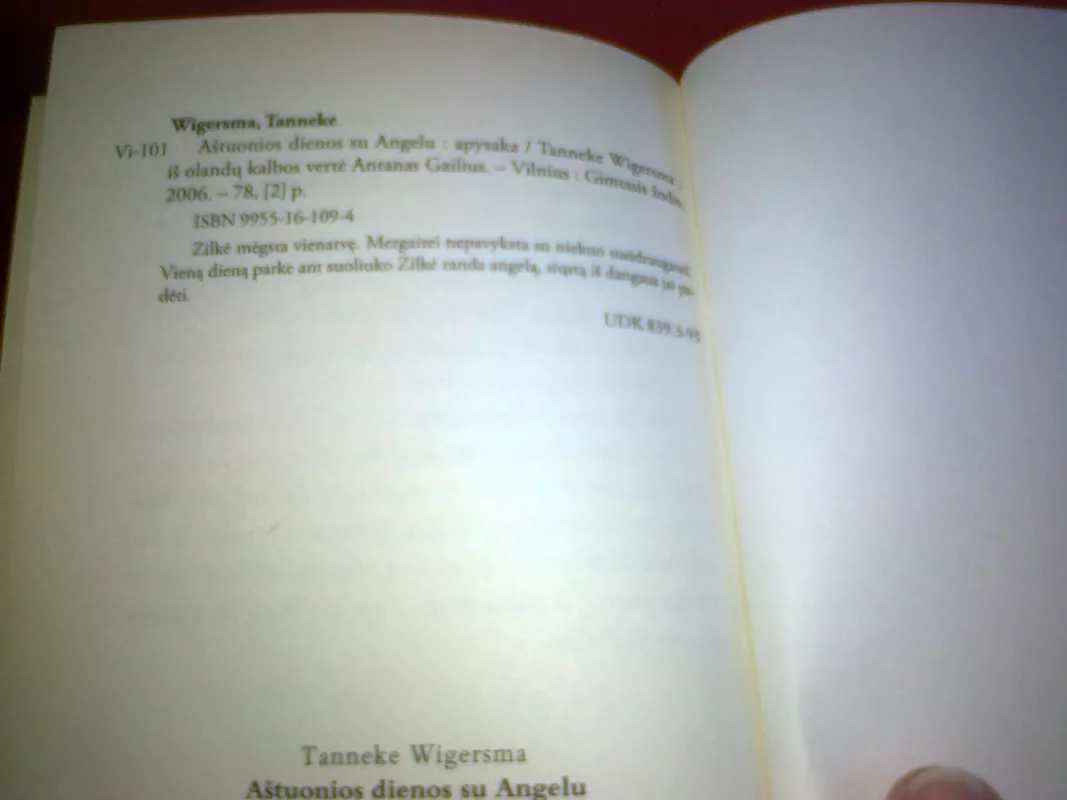 Aštuonios dienos su Angelu - Tanneke Wigersma, knyga