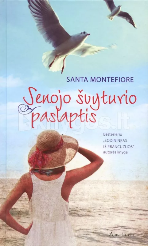 Senojo švyturio paslaptis - Santa Montefiore, knyga