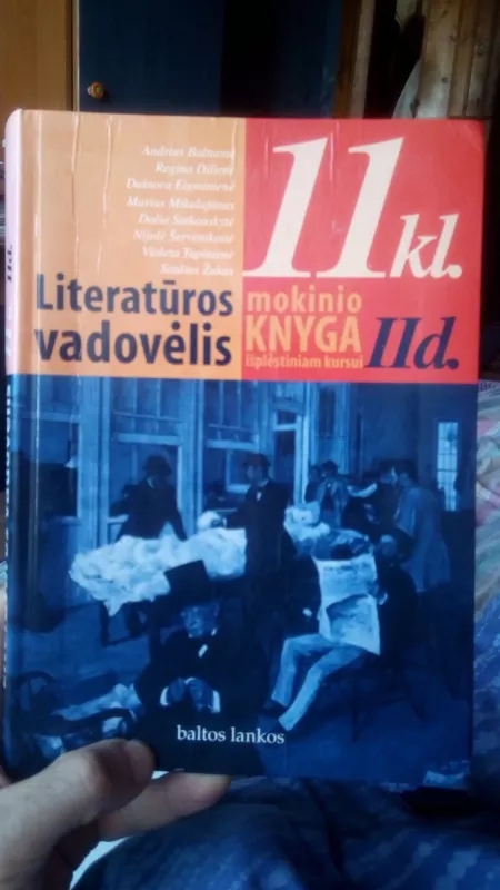 Literatūros vadovėlis 11 kl. (2 dalis): mokinio knyga - R., I.  ir kiti Dilienė, Kanišauskaitė, knyga