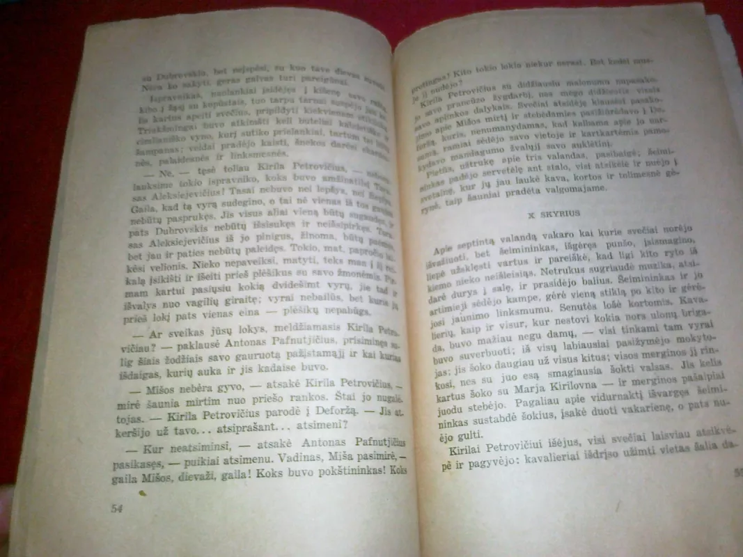 Dubrovskis - A. Puškin, knyga