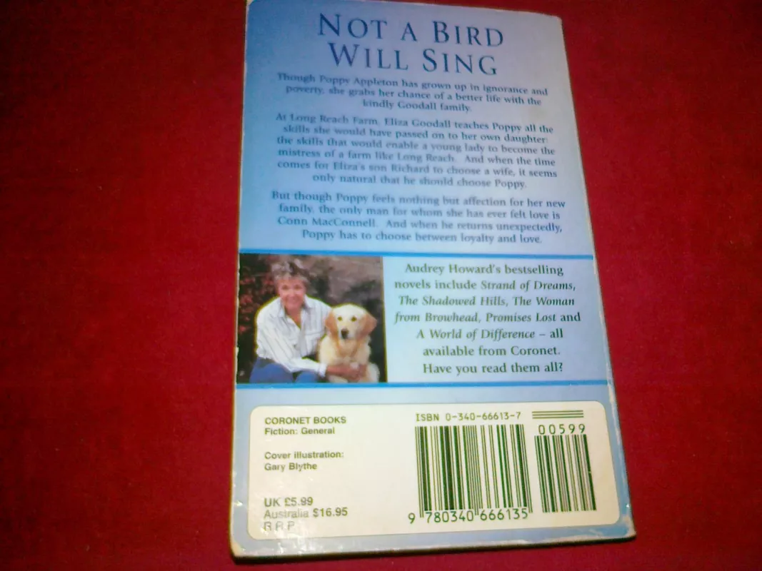Not a bird will sing - Audrey Howard, knyga