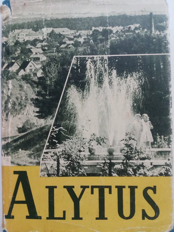 Alytus - Vytautas Stanionis, knyga