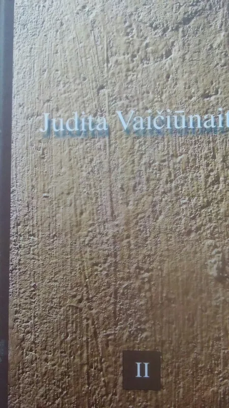 Raštai (II tomas) - Judita Vaičiūnaitė, knyga