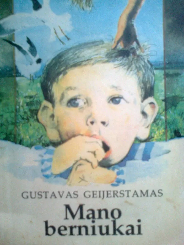 Mano berniukai - Gustavas Geijerstamas, knyga