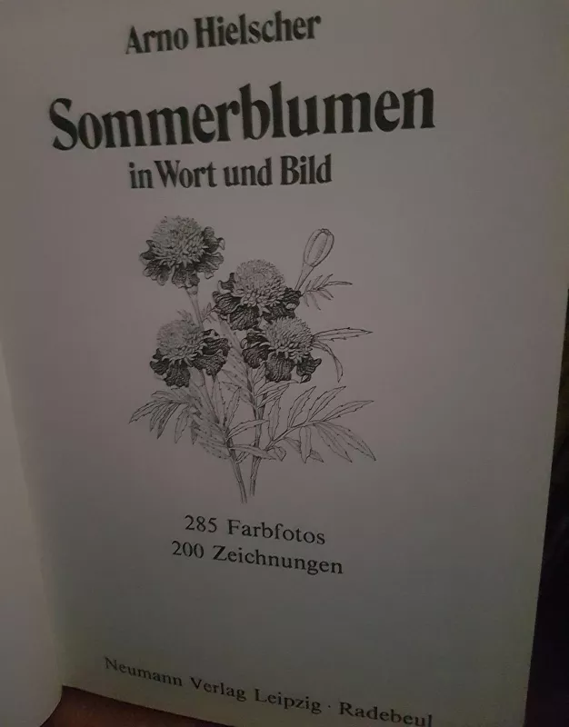 Sommerblumen in Wort und Bild - Arno Hielscher, knyga