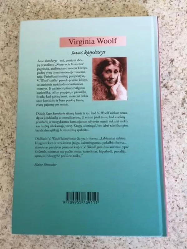 Savas kambarys - Virginia Woolf, knyga