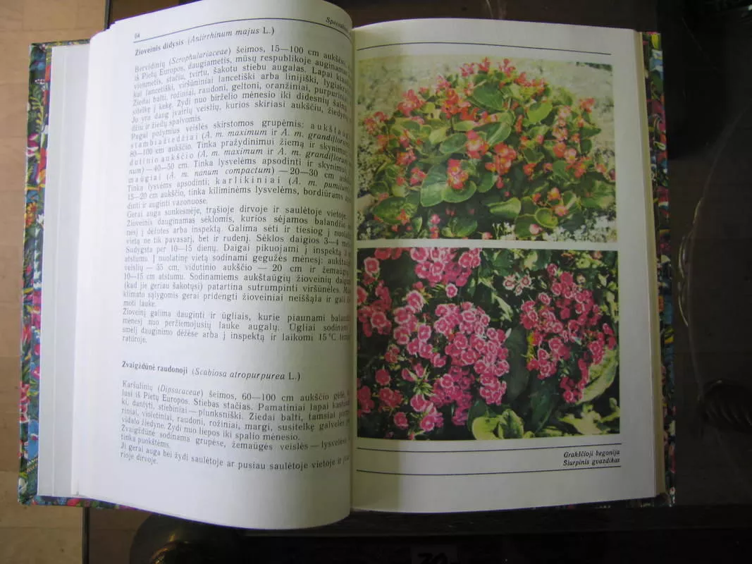 Gėlių auginimas - O. Skeivienė, knyga