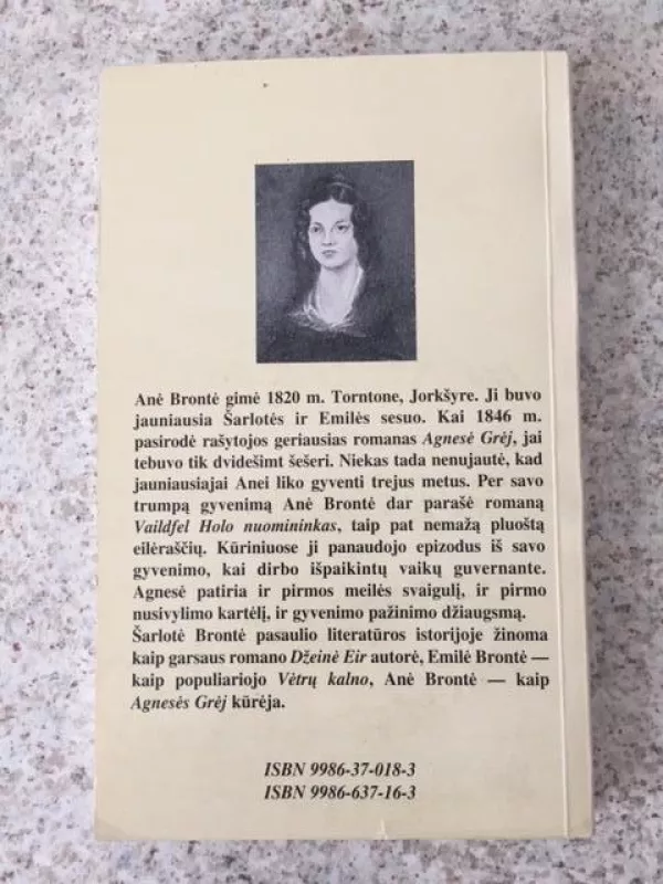 Agnesė Grėj - Agnesė Brontė, knyga
