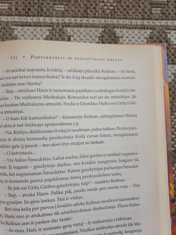 Haris Poteris ir paslapčių kambarys - Rowling J. K., knyga