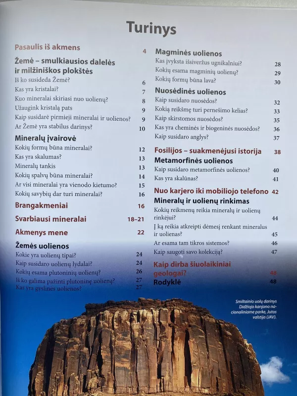 Mineralai ir uolienos: kas yra kas - Werner Buggisch, Christian  Buggisch, knyga