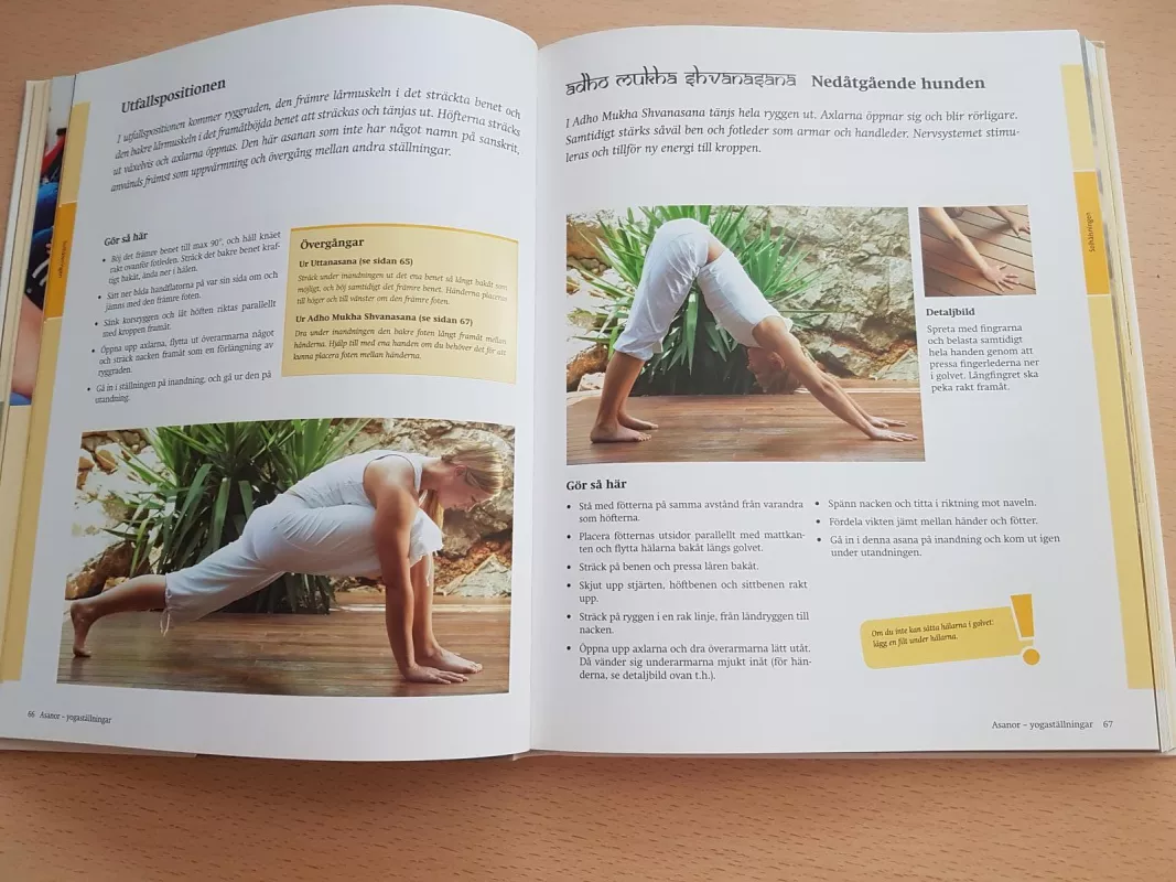 Yoga - Inge Schöps, knyga