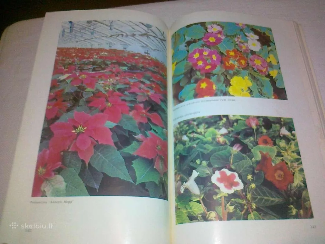 Gėlės šiltnamiuose - B. Andriuškevičienė, J.  Rugytė, knyga