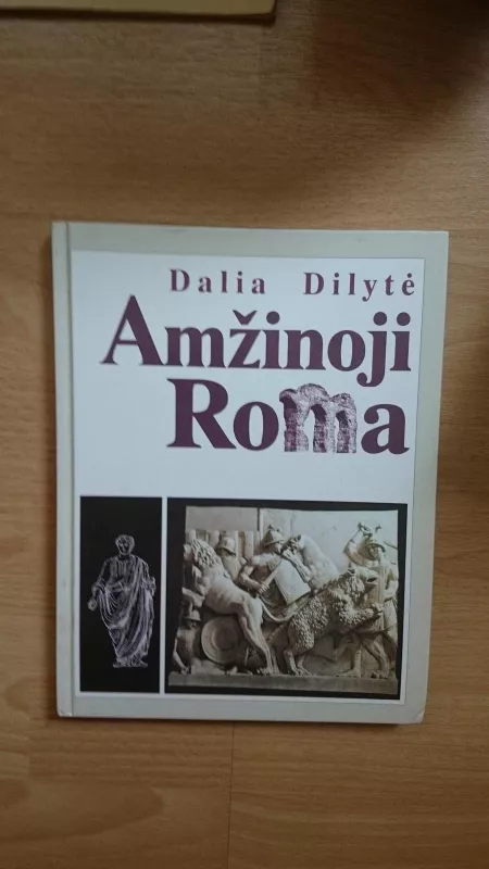 Amžinoji Roma - Dalia Dilytė, knyga